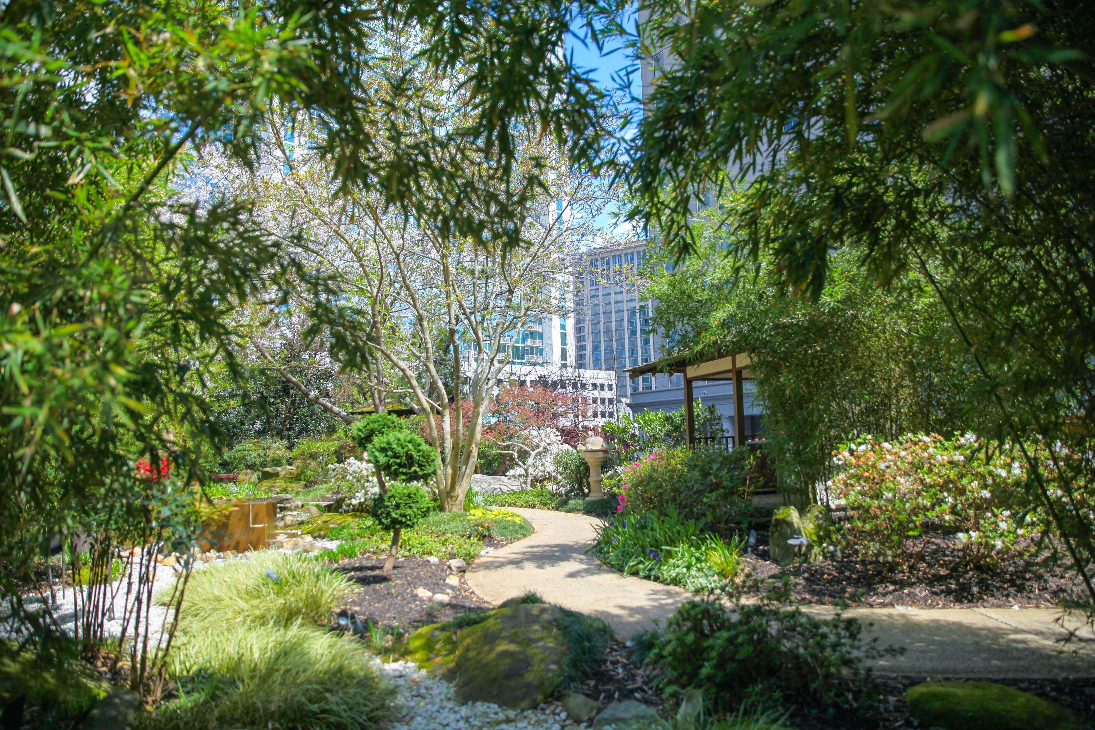 Grand Hyatt Atlanta In Buckhead Hotel Exterior foto